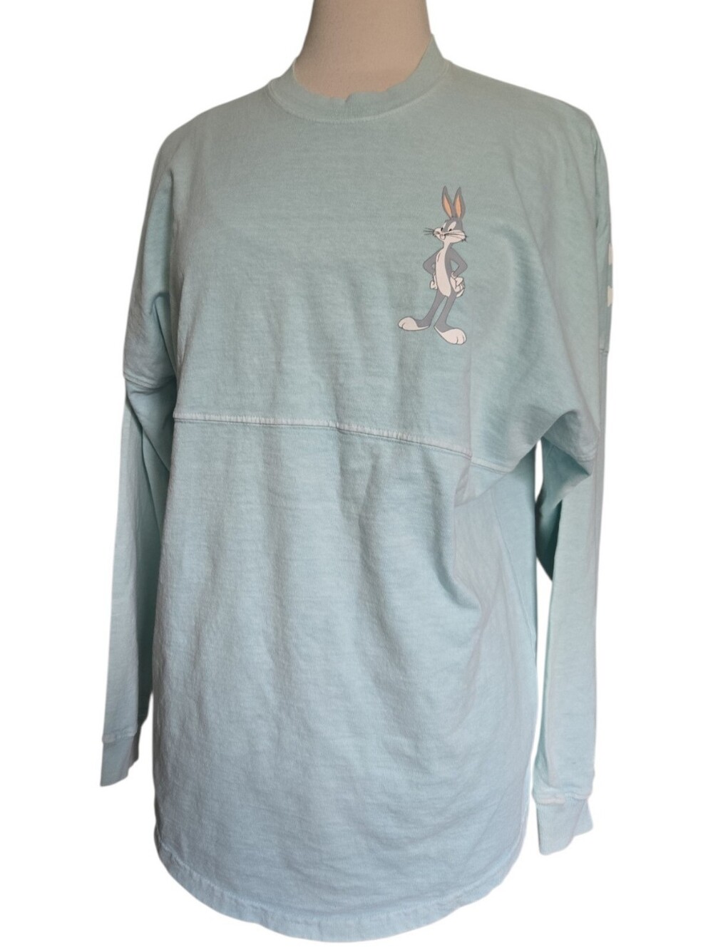 Warner Bros. Studios Blue Acid Wash Spirit Jersey - S